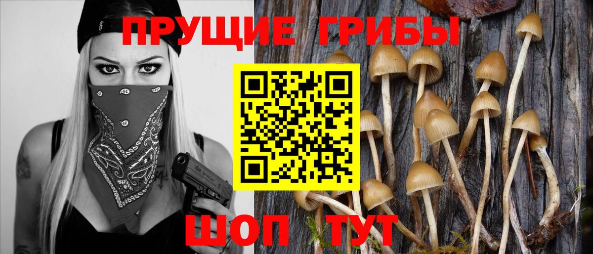 Псилоцибиновые грибы мухоморы Ржев